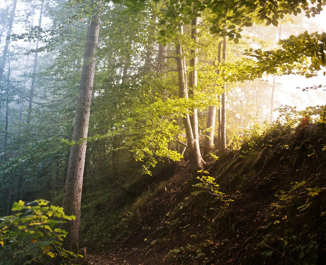 Emelies Samtalsterapi i Alingsås Emelies Samtalsterapi i Alingsås erbjuder professionell samtalsterapi med inriktning mot KBT.